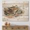Designart - Vintage Birds In The Wild III - Traditional Print on Natural Pine Wood